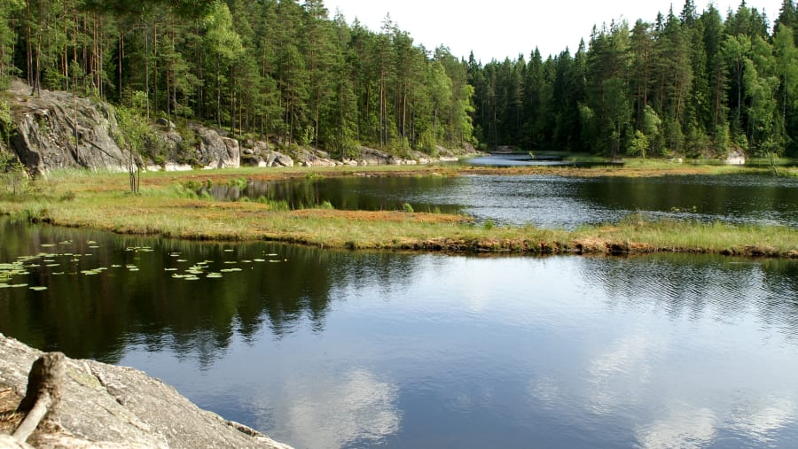 Nuuksio National Park Finland