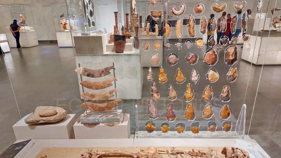 The Egyptian Museum