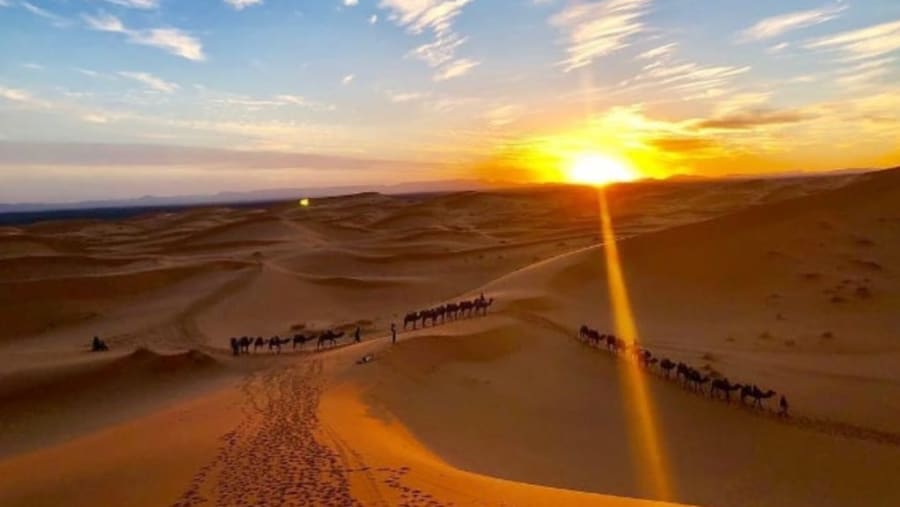 Camel ride to Merzouga