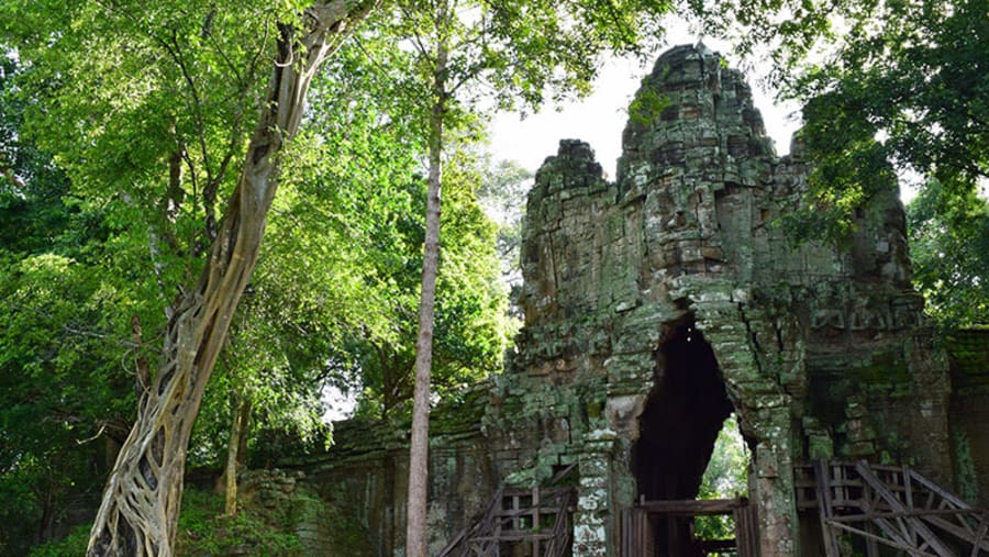 Ta Prohm, Temple in Siem Reap, Cambodia