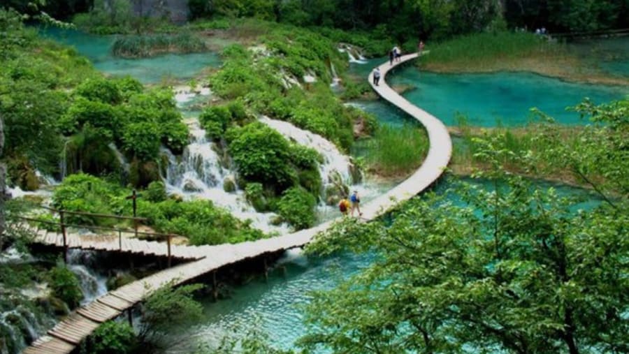 Bach Ma National Park