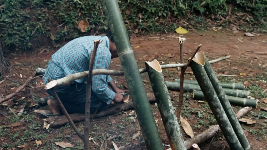 Prepare meals in this nature trek