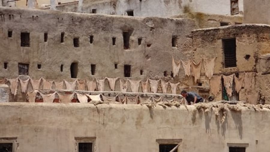 Tanneries