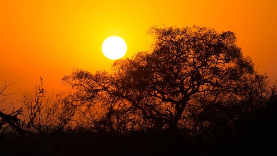 Marvel at picturesque evening views in Kruger National Park