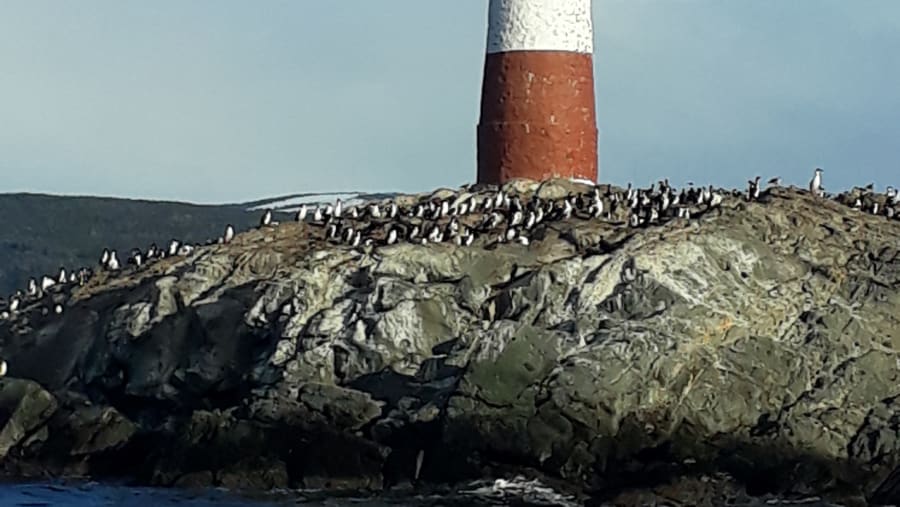 Les Eclaireurs Lighthouse, Argentina