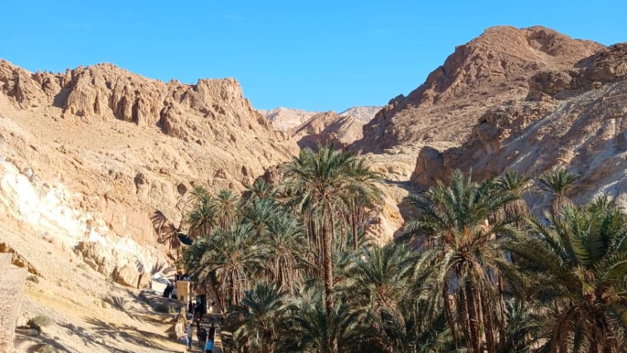 Chebika Oasis
