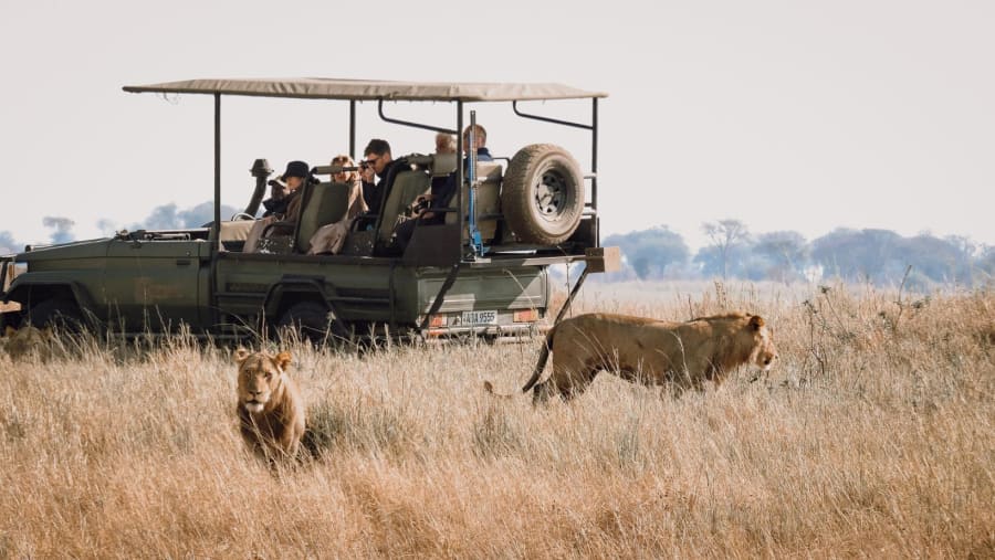 Jeep Safari at Hwange National Park