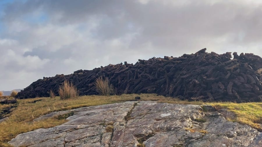 Turf on the bog