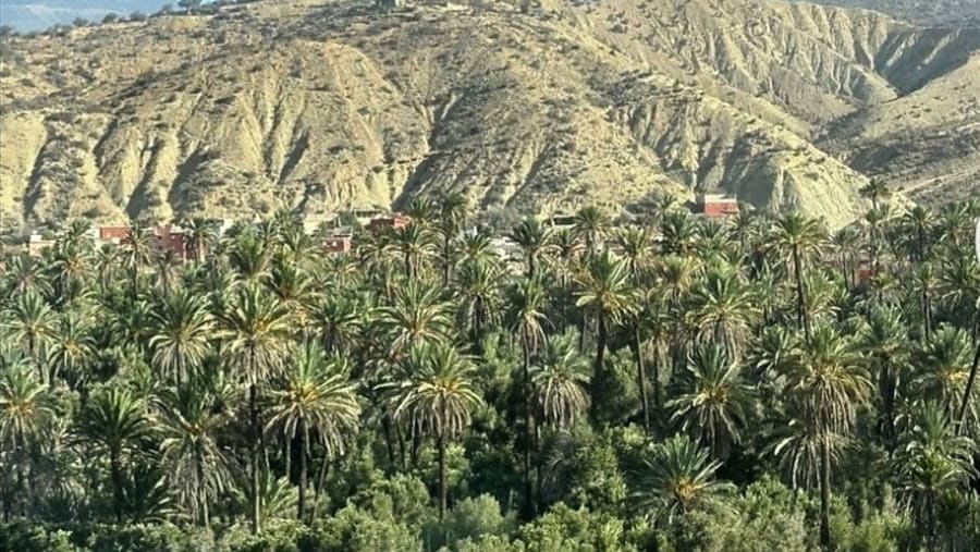 Oasis in the high atlas mountain & paradise valley