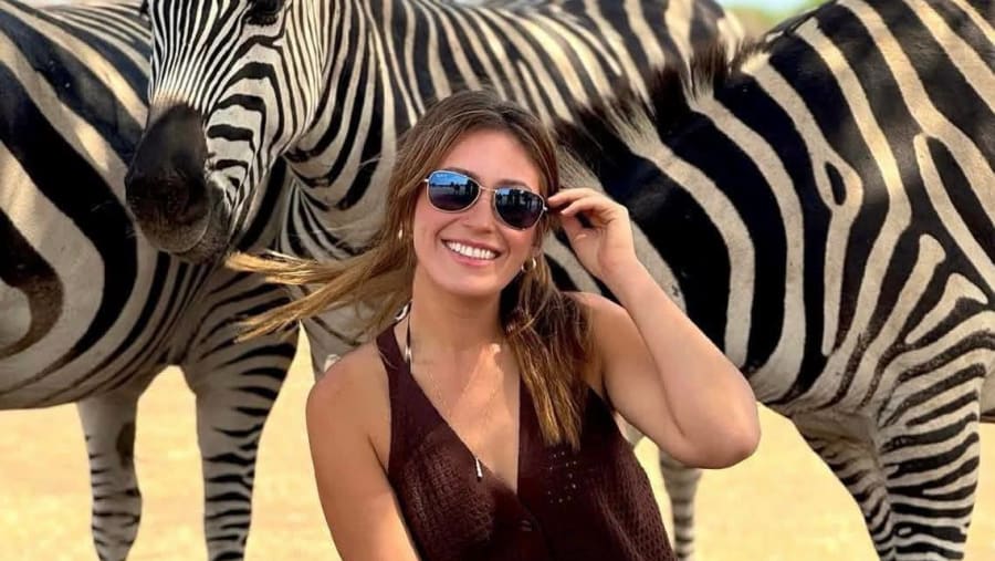 Zebras