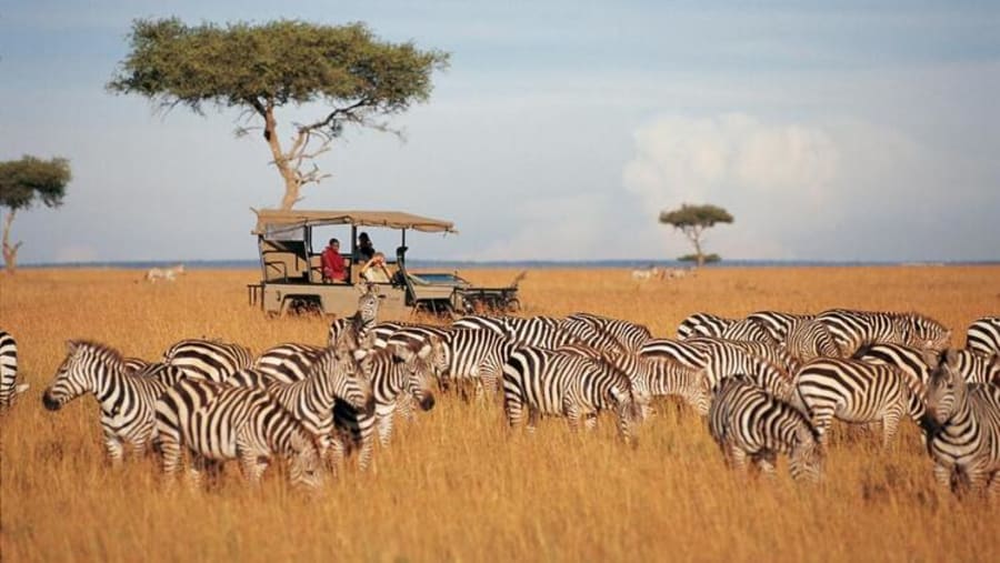 Masai Mara National Reserve