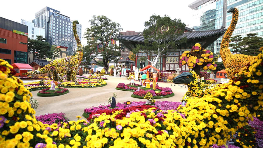 Jogyesa temple in Autumn