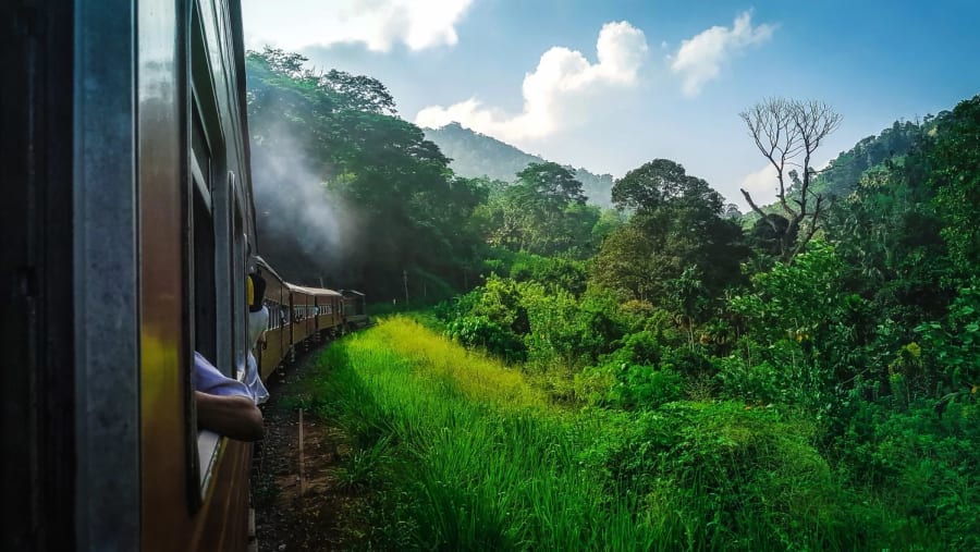 Tea Train