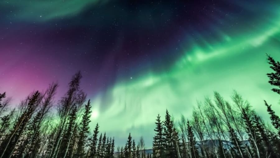 Aurora Lights