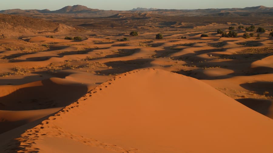 Explore the Sea of Sand