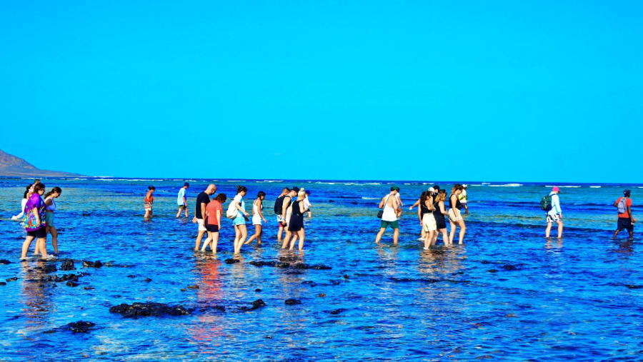 Sal Island