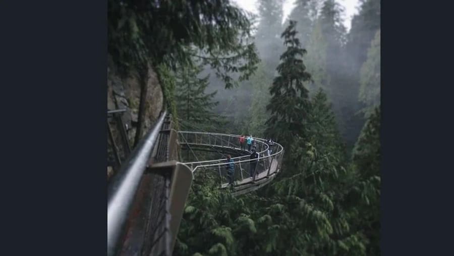 Cliffwalk