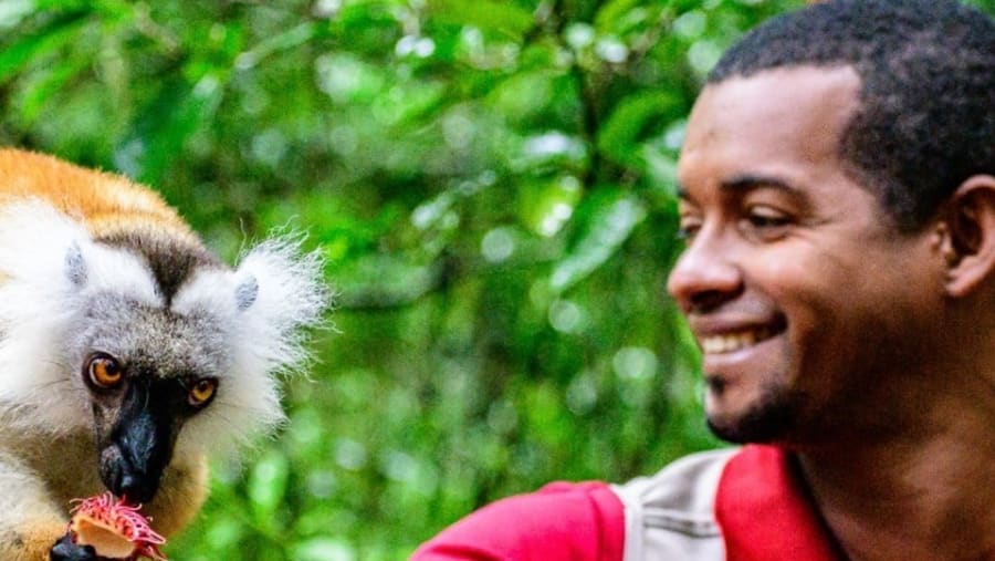 Meet the lemur