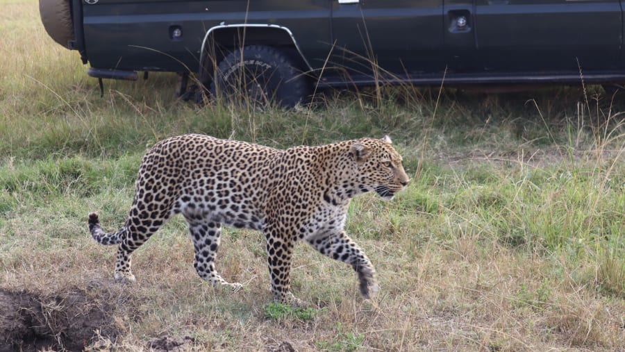 Maasai Mara National Reserve
