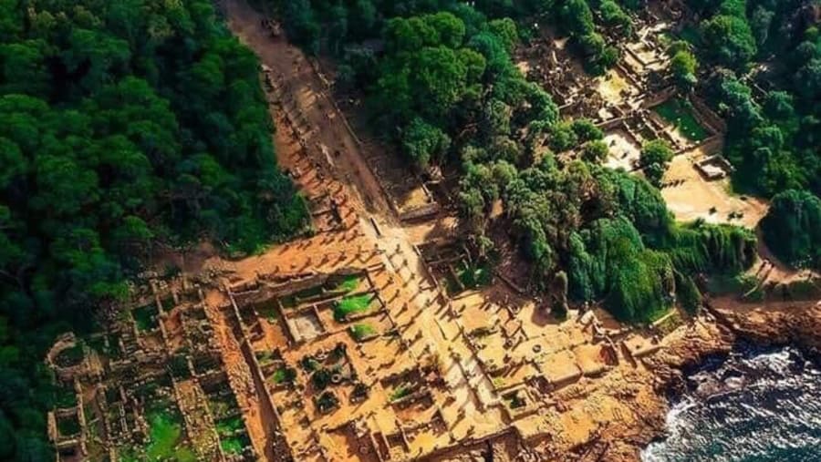 Tipaza