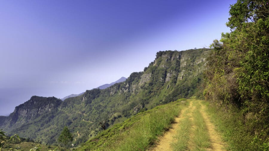 Scenic Mountains