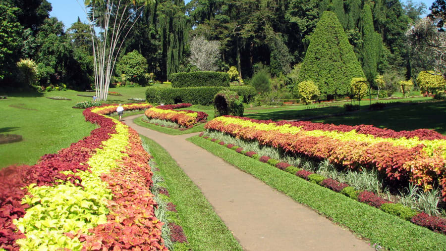 Botanical Garden, Peradeniya