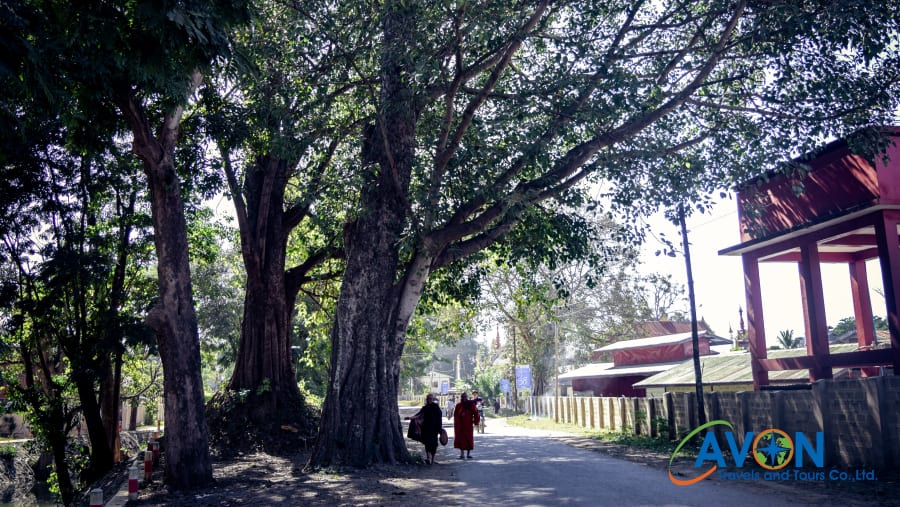 Nyaungshwe Local Street