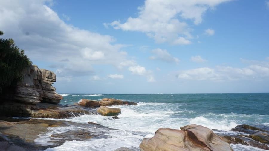 Mysterious Coast