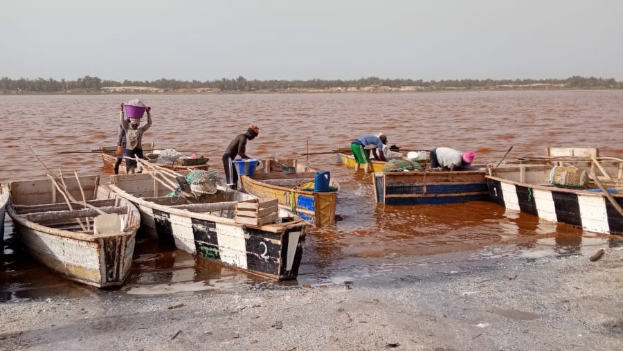 The Pink Lake and Salt Harvesters in Senegal
