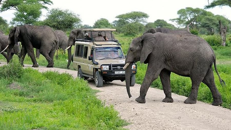 NORTHERN TANZANIA SAFARI