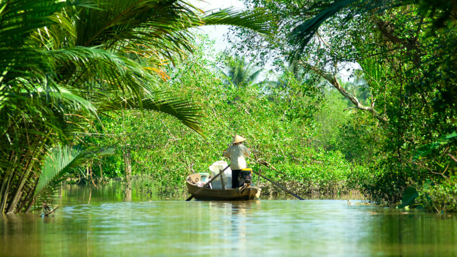 Boats along the Mekong Delta