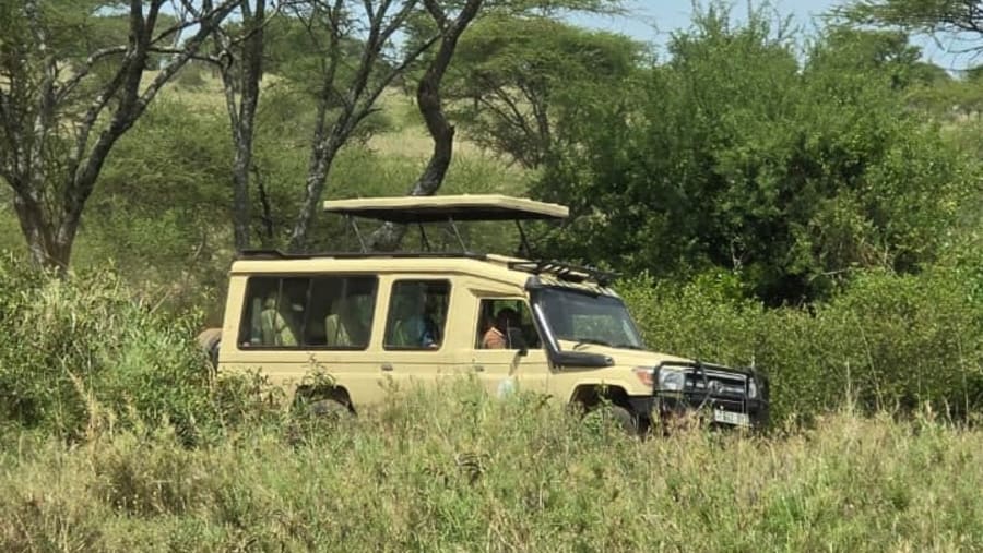 Our Safari vehicle