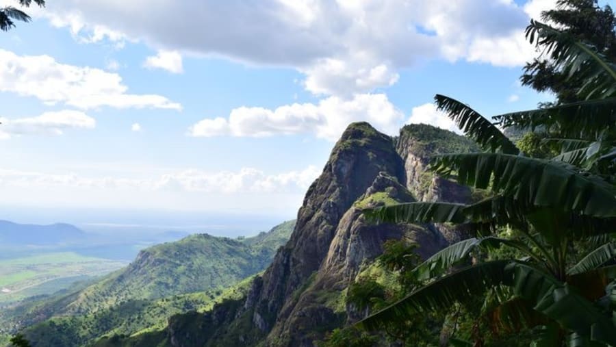 Irente view point