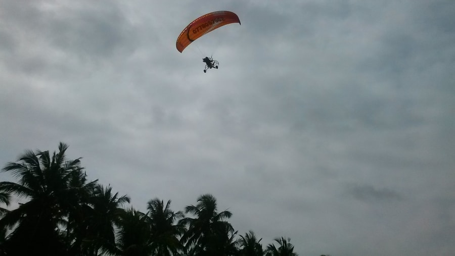 Adventure up above.
