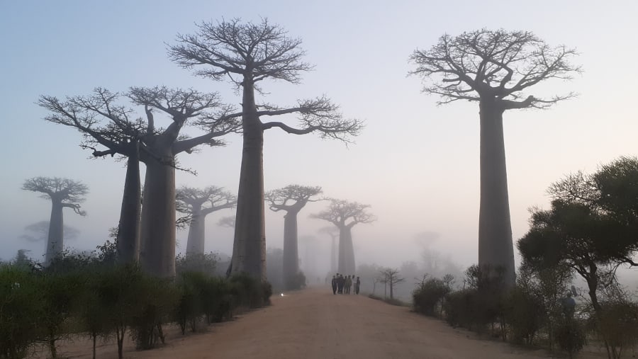 Travellers in Madagascar