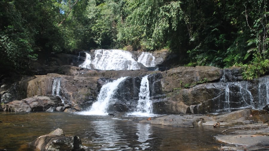 Sinharaja Forest Reserve