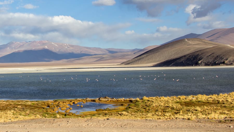 Laguna Santa Rosa