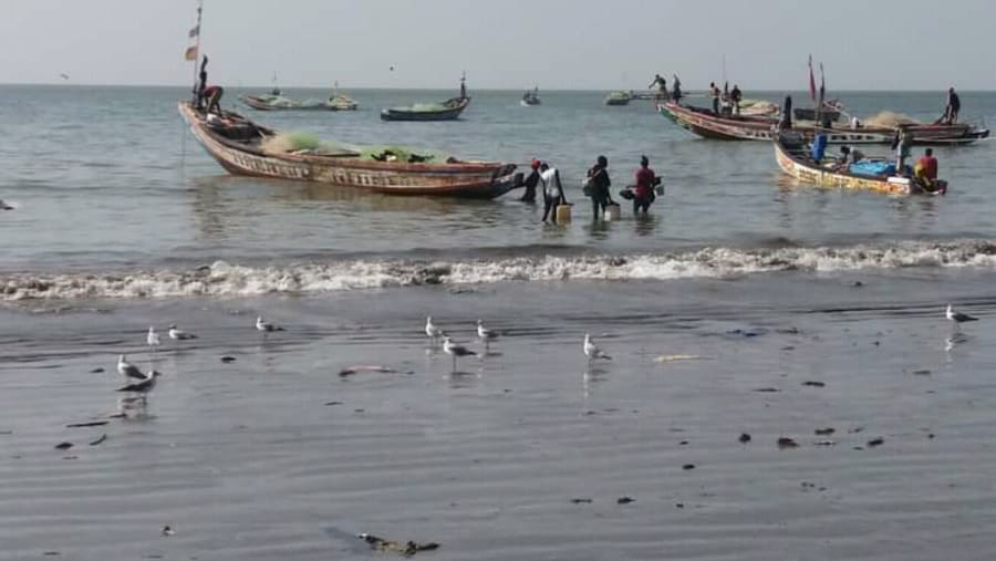 River Gambia