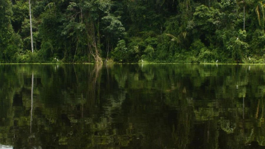 Pacaya Samiria National Reserve