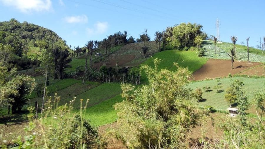 Volcanic Mountain of Mahawu