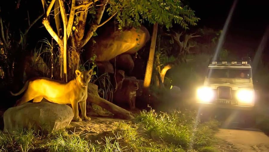 Bali Jungle Safari