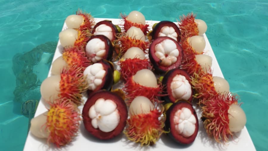Enjoy Delicious Tropical Fruits