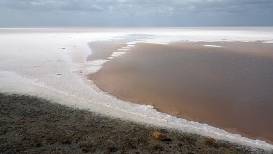 White rann