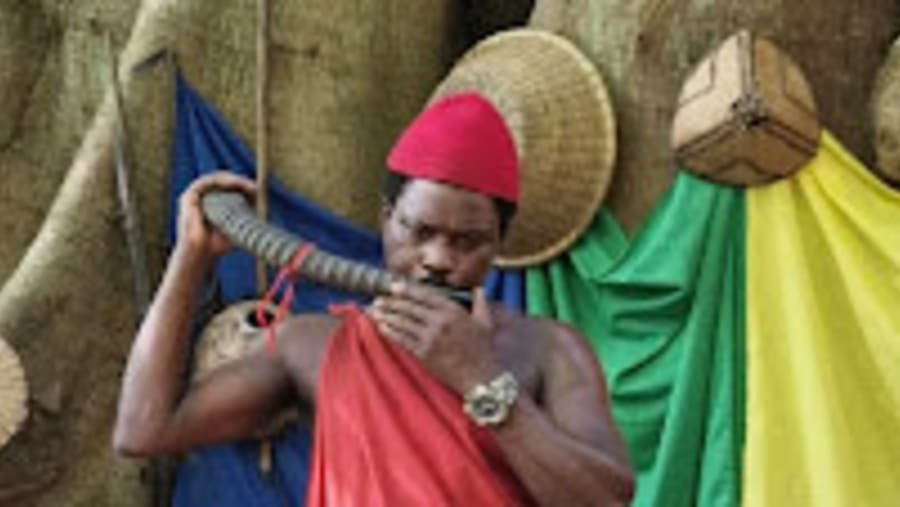 Witness the African tribes