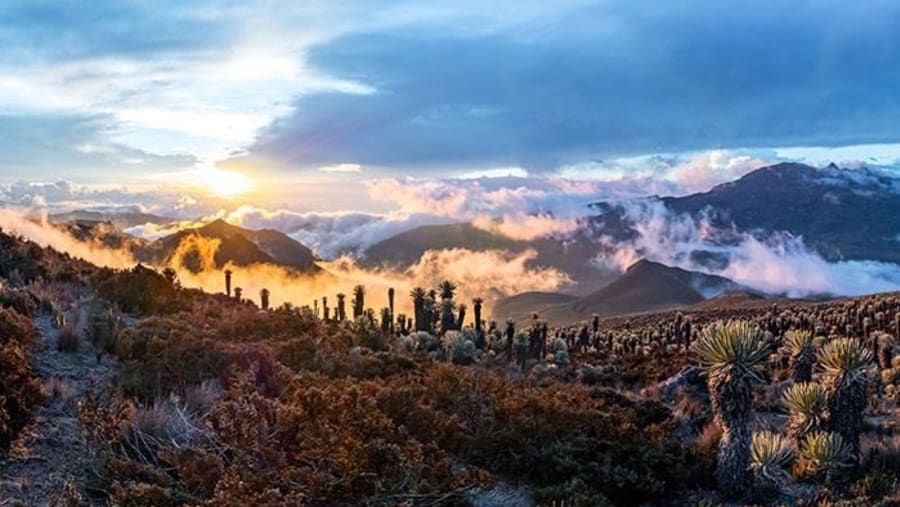 Los Nevados National Park