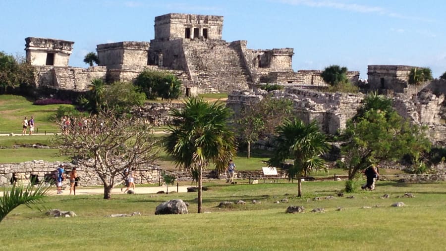 The Castle View