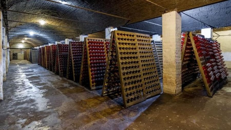 Visit the Rhein Azuga Cellars