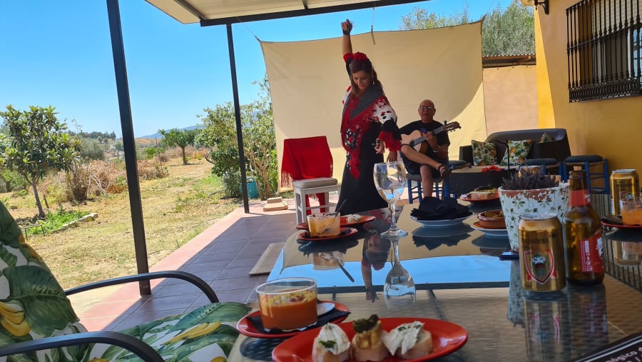 See artists performing flamenco dance