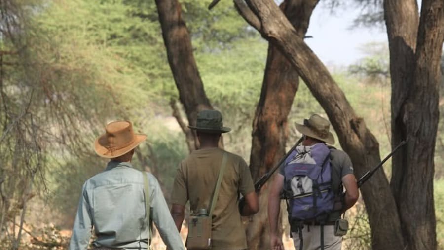 Stroll around Ruaha National Park