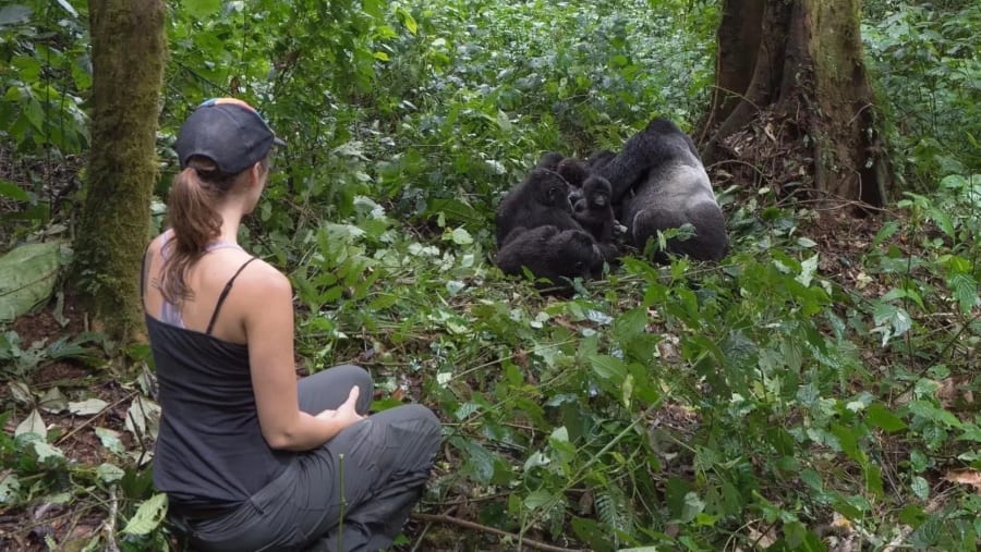 Bwindi National Park